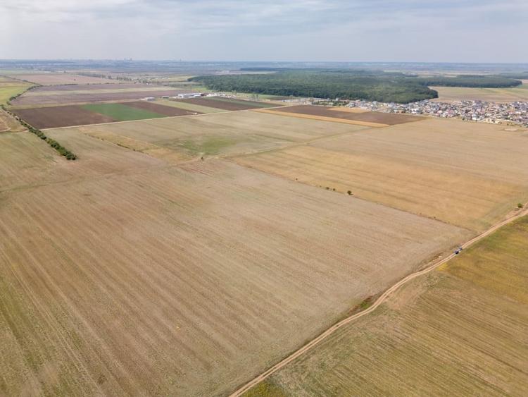 Teren Construcții intravilan de 7500 mp, în Dascălu