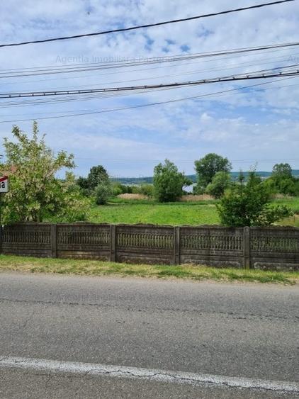 Teren intravilan Budeasa-stradal - 1