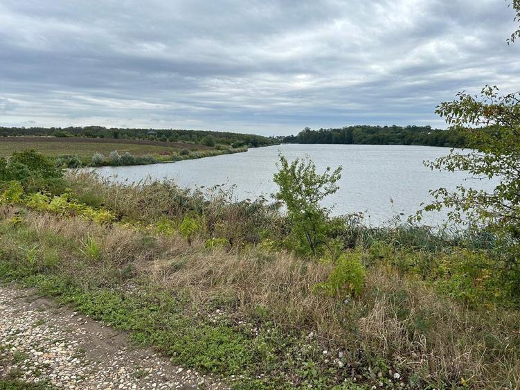 MOARA VLASIEI TEREN INTRAVILAN LA LAC SI PADURE - 2