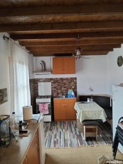 Casa de vanzare comuna Balin?,sat Bodo,jud.Timi? - 6