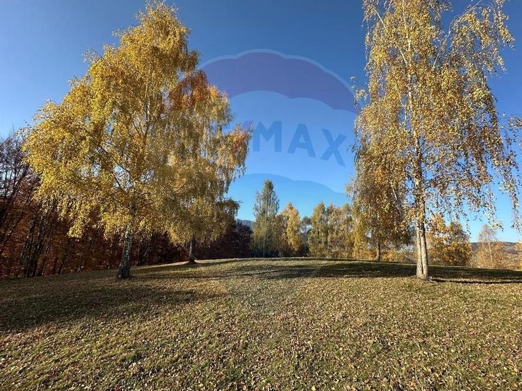 Oportunitate de investiție ! Teren de vis în Pestera - 125.370 mp - 32