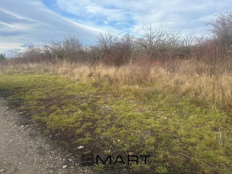 Teren Intravilan 1105 mp Sanpetru - 3