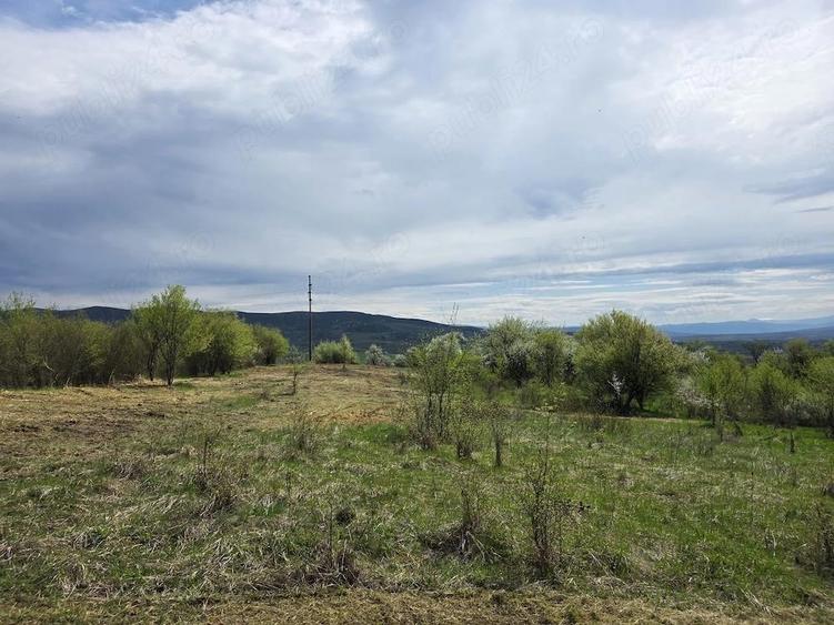 De vanzare teren intravilan 6704 mp Barsau, jud. Hunedoara - 9