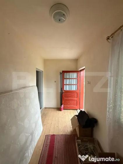 Proprietate completa in Sacuieni- Doua Case + Anexe - 3