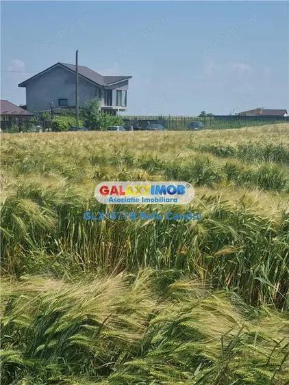 VANZARE TEREN INTRAVILAN 10000 MP COMUNA BERCENI - 1