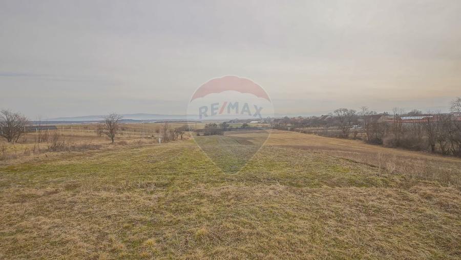 COMISION 0% Casa Individuala La Rosu cu teren de 4000 mp in Crizbav - 18