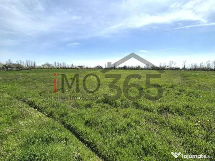 Teren intravilan 3000mp Oarja deschidere 37m - 4