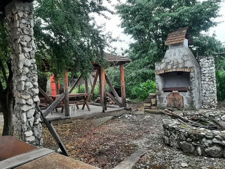 Case de vanzare la tara - 5