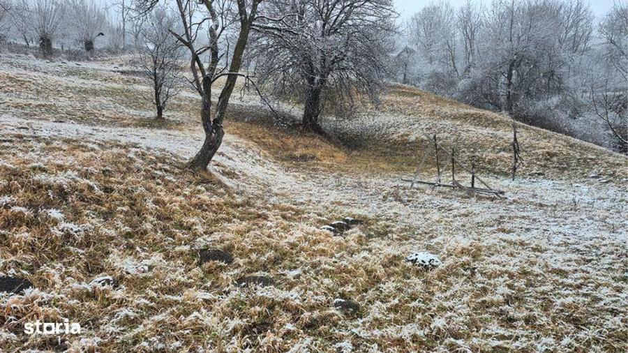 Vand teren Secaria, PH, 9380m2 - 3