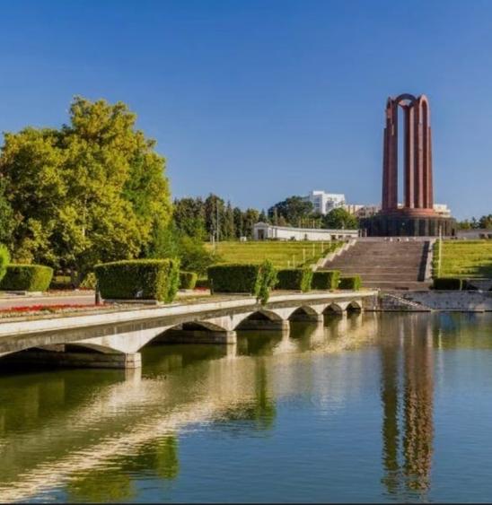 Studio- Parcul Carol - 7