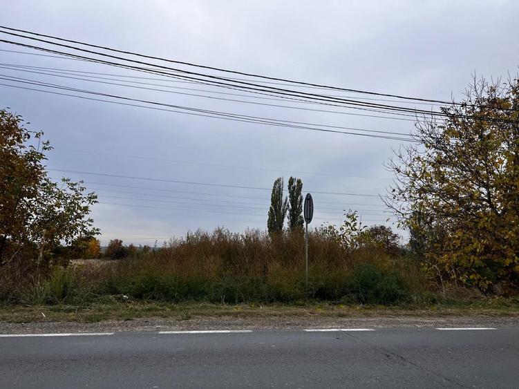 Teren Aninoasa Intravilan | DN 71 | Aleea Sinaia | Teren Hala - 1