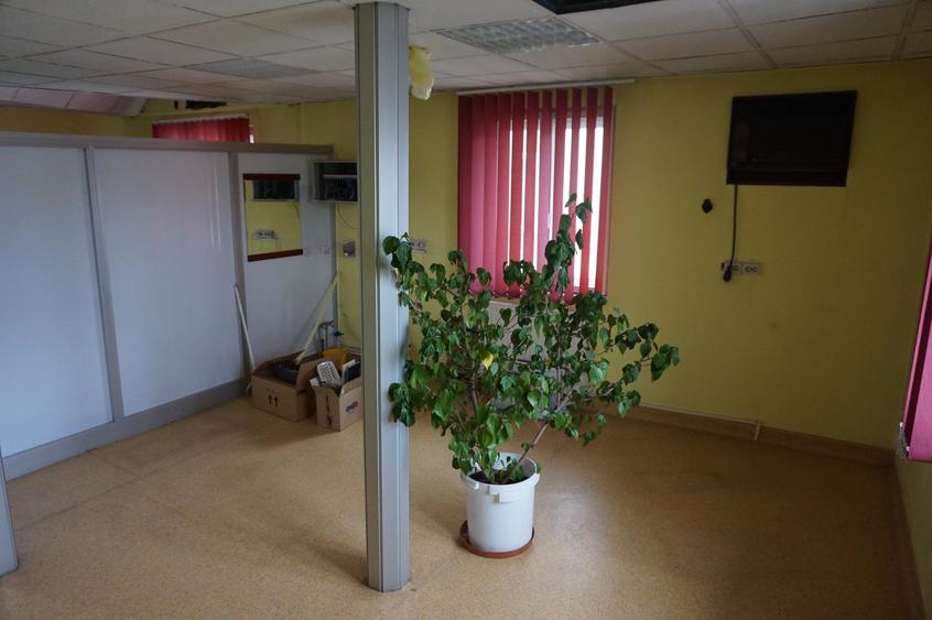 Parcul Carol - Rond Cosbuc, trei imobile, singur curte, liber - 8