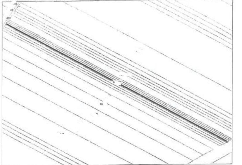 Teren extravilan- Loc. Ileana, jud. Calarasi - 2