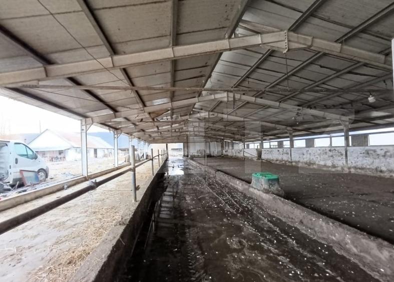 Spațiu industrial, de 6,600 mp, în Valea Lungă