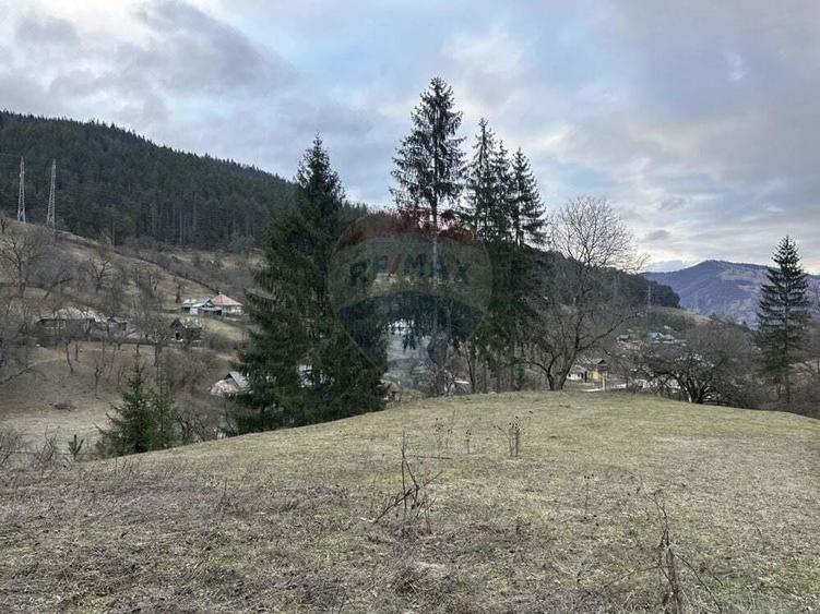 Teren 2,000mp Stejaru (Pangarati) / None - 2