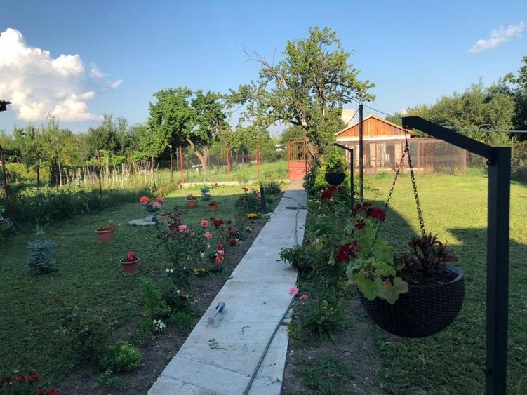 Braytim casa parter (3cam) + casa P+1E rosu (5cam) - teren 1942 mp - 5