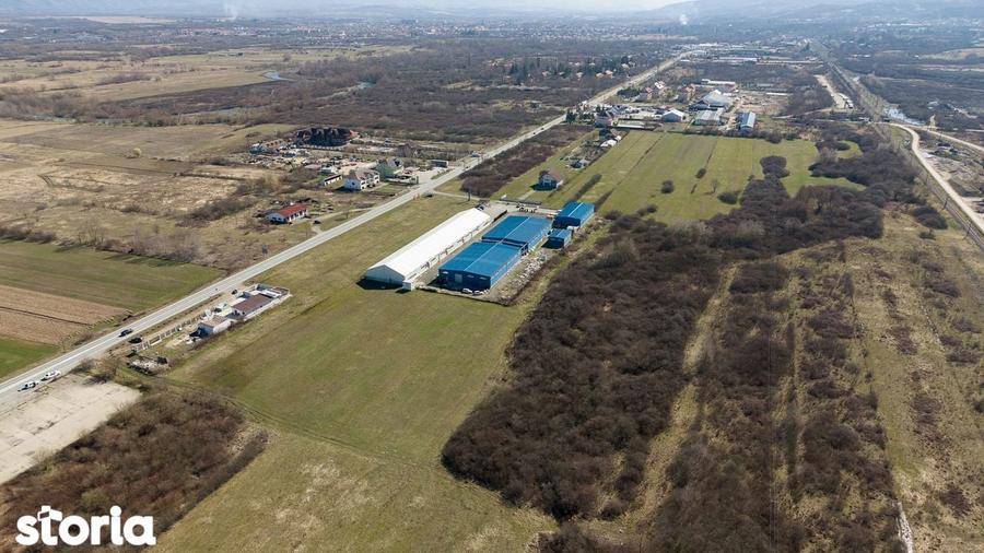 Teren extravilan de 7.000 mp langa Paltini? - 8