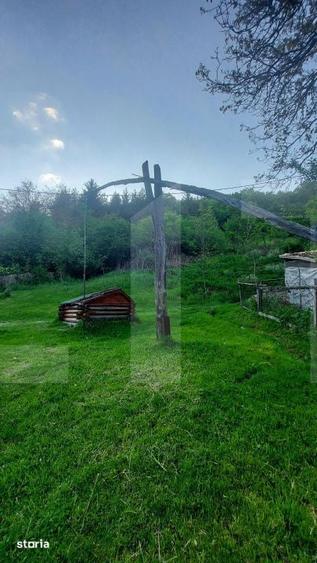 Teren intravilan 4905 mp I Livada I Casa demolabila I Magherus - 7