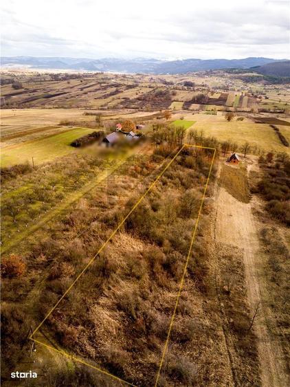 RECO Teren intravilan Zona Vadu Crisului Bihor - 7