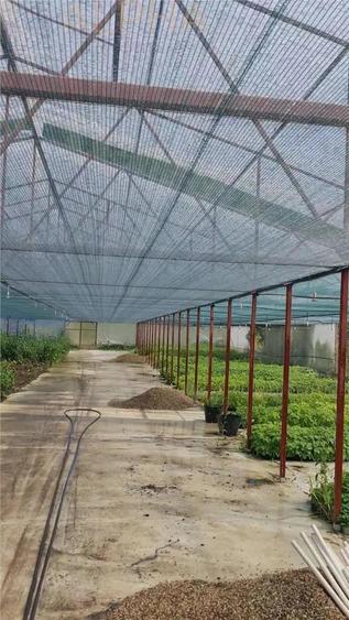 AFACERE LA CHEIE HALA PRODUCTIE + SERA PROFESIONALA - 3