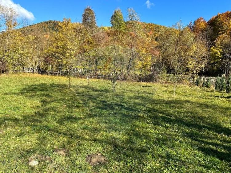 Teren de vanzare Cuiejdel 1350 mp - 7