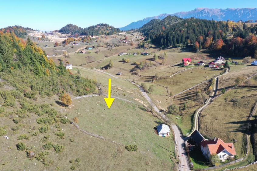 Teren la munte cu oportunitate de  investitie - 3