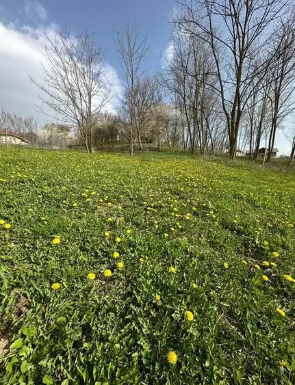 TEREN DE VANZARE -SULTANU,VISINESTI - 5