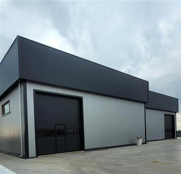 Inchiriere depozit/hala/spatiu industrial Domnesti - Centura, Ilfov - 3
