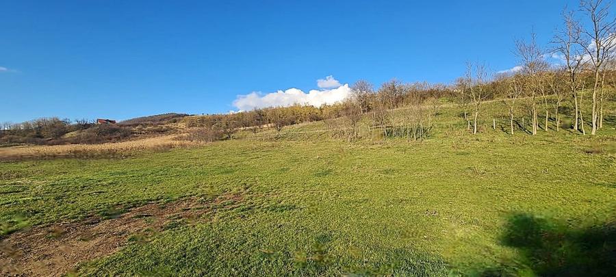 Teren intravilan\constructii \Sura Mare \ Sibiu - 5