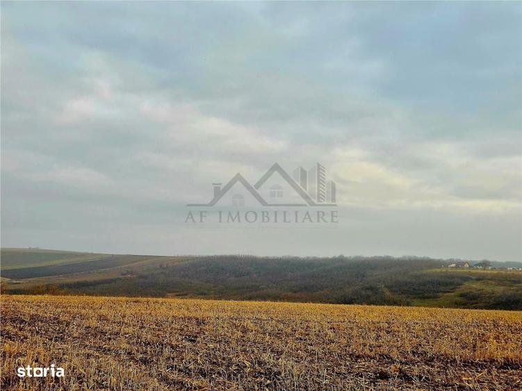 Teren pentru casa cu autorizatie si cu vedere frumoasa - 8