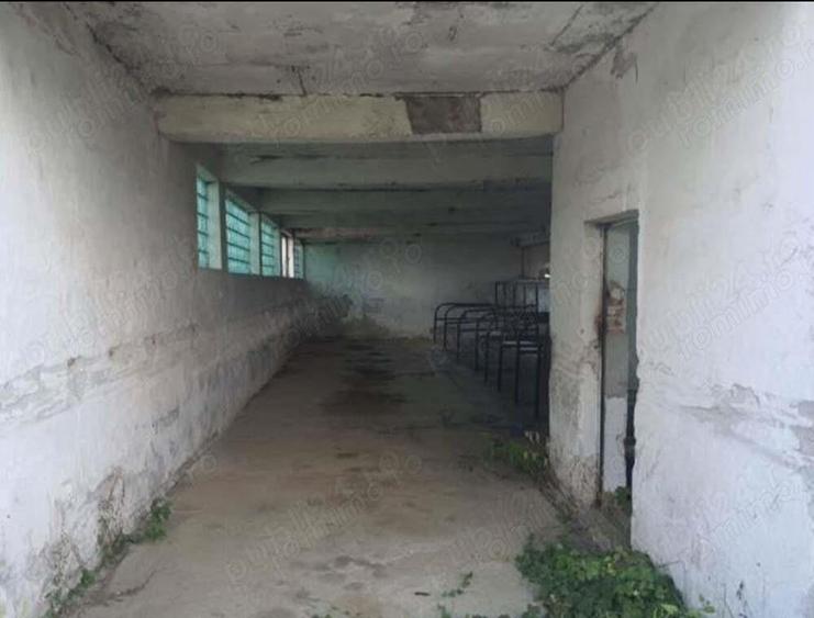 Vand teren cu hala construita pe el - 6