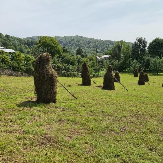 Teren vanzare in comuna Adunati - zona BREAZA - Prahova - 7