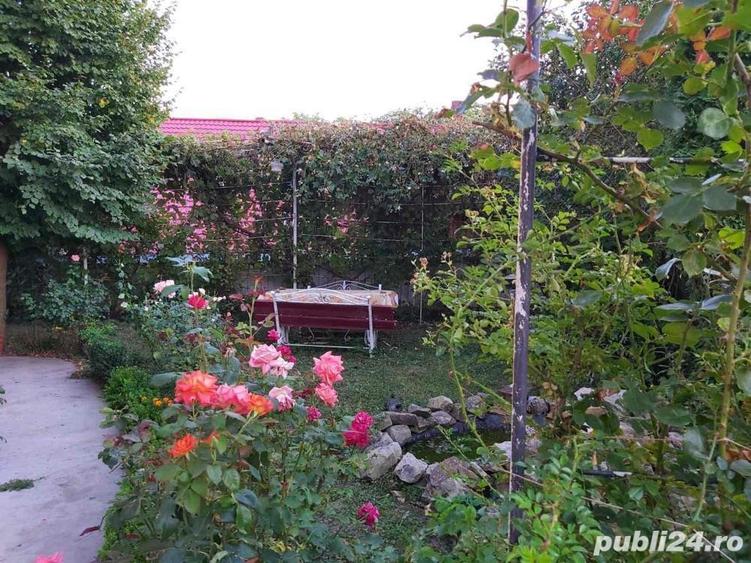 DOUA CASE - filioara com agapia neamt - 1