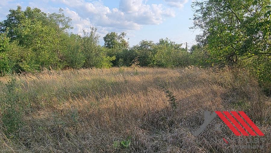 Topolovățu Mare – Casa si Teren 1683 mp - 48.500 euro - 3