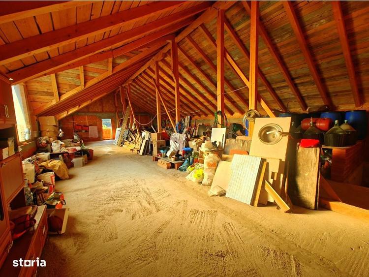 Ocazie! Vila 375 m.p. la rosu, langa padurea Odoreanu - doar 175.000E - 5