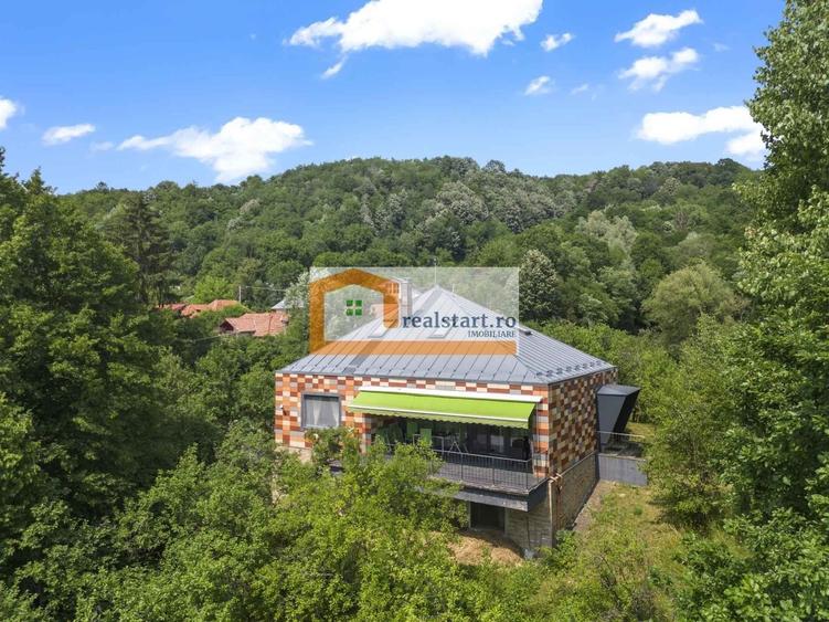 Cornu, Vedere la Padure, Vila D+P+M, 33000mp teren, 4 parcare - 8