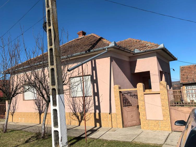 Casa de vanzare - 1