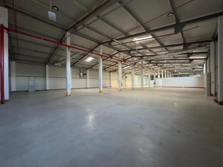 Hala cu climatizare, 1818mp, zona Metro - 11