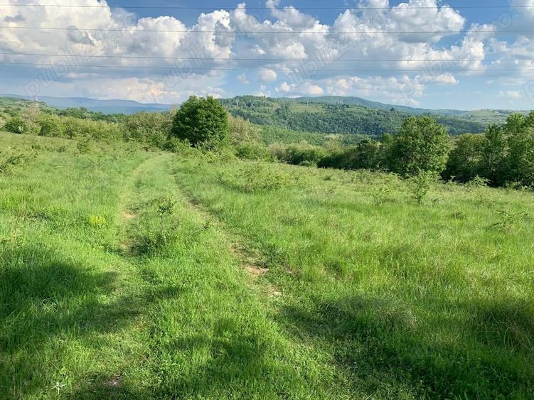 Vand teren zona Carasova! - 2