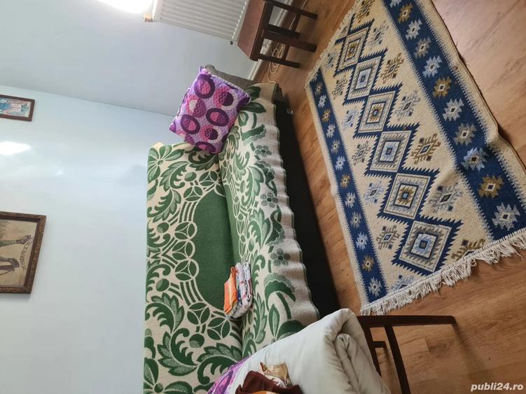 Vand casa la curte cu imbunatatiri - 4