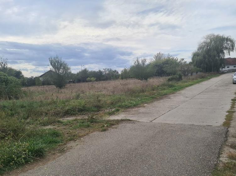 Vand teren 2700 m industrial Bacia - 2