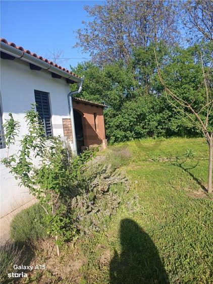 Casa noua in Vaida - 4