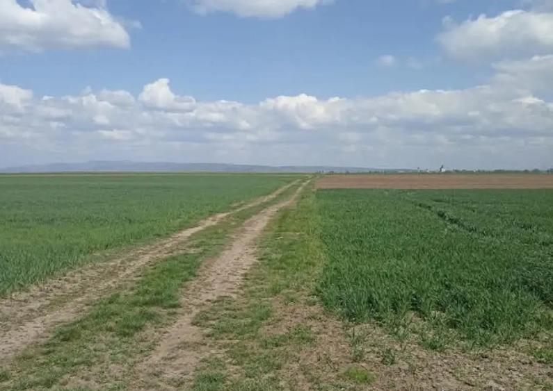 De vanzare teren extravilan langa drumul DN11 - 3