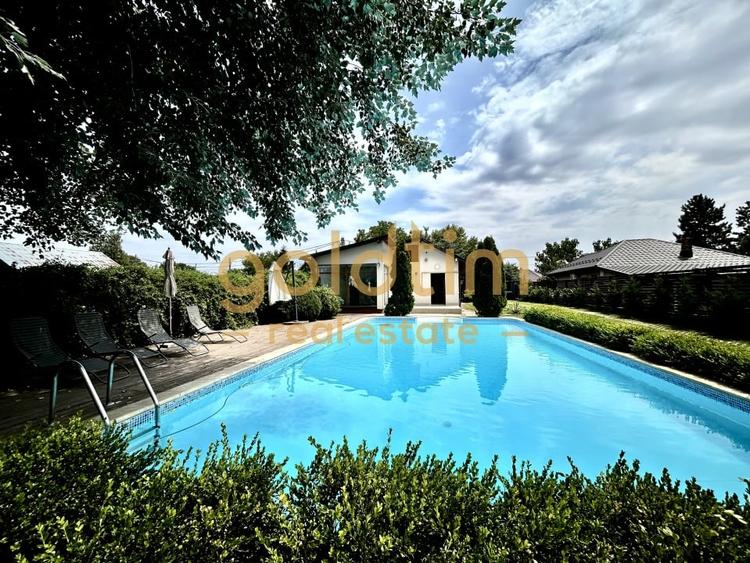 VILA SUPERBA+CASA OASPETI/PISCINA/IESIRE LAC-PONTON/DEBARCADER/GARAJ/SERA/SNAGOV - 3