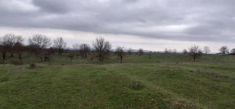 Teren de 3700 mp, în Central