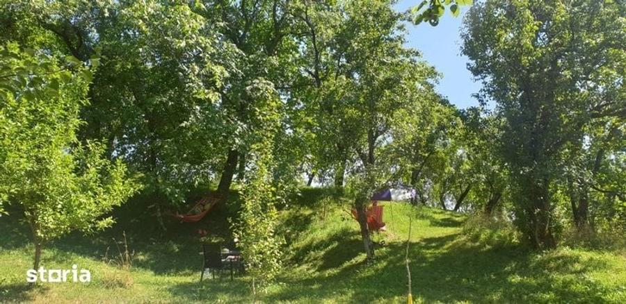 Teren la munte cu livada si o casuta mica - 1