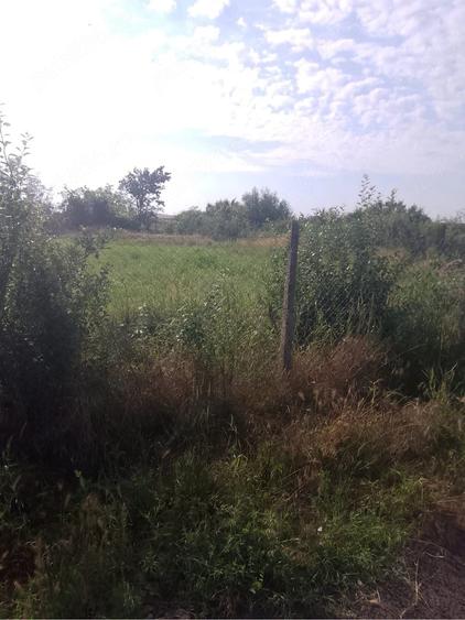 Teren de 1000 mp, în Măicănești