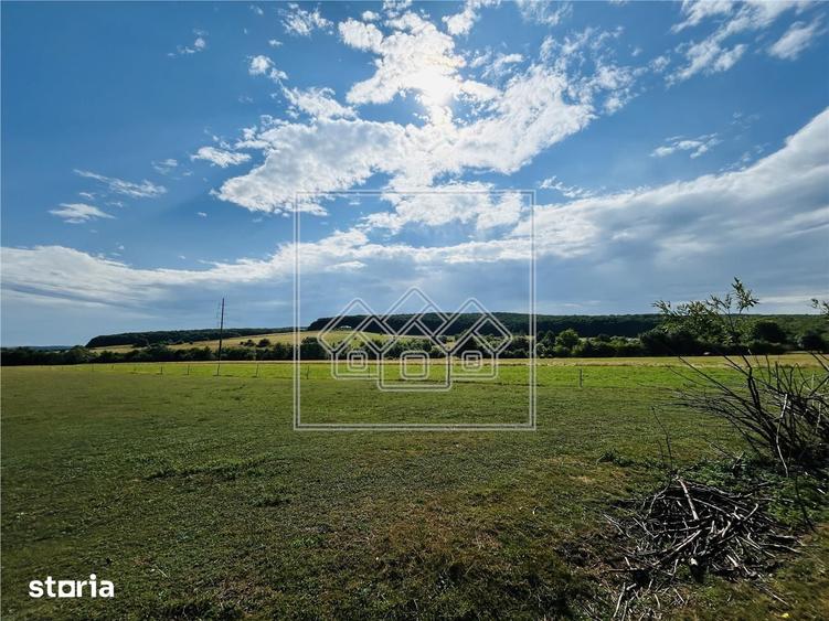Teren intravilan, 5861 mp - Tocile - 5