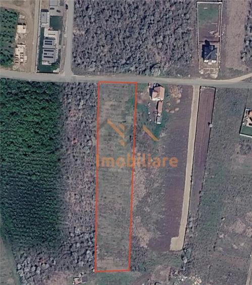 TEREN INTRAVILAN | 5997 MP | 35 ML FRONT STRADAL | ZONA IZVORULUI | SALDABAGIU DE MUNTE - 3