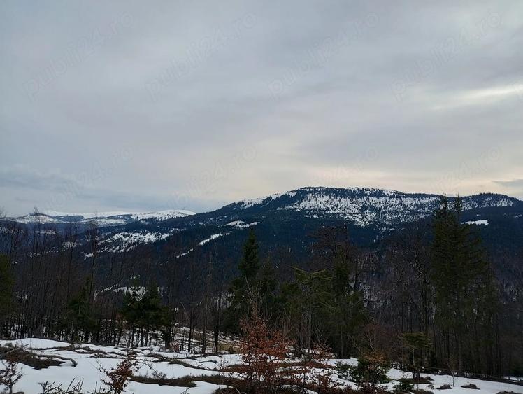 Teren de 5000 mp, în Vârtop